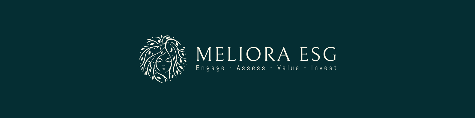 Meliora ESG banner